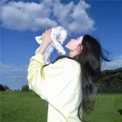 几度菊花香